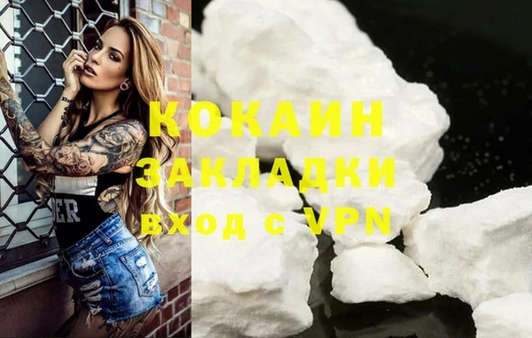 mdpv Богородицк