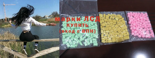 ПСИЛОЦИБИНОВЫЕ ГРИБЫ Бородино