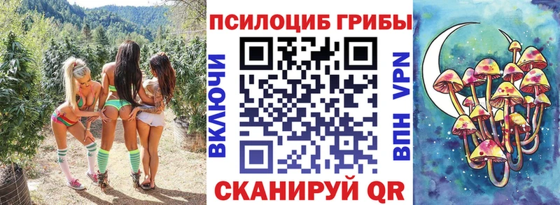 Псилоцибиновые грибы GOLDEN TEACHER  мориарти формула  Кузнецк 