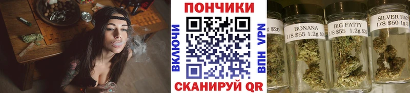 Шишки марихуана конопля  Кузнецк 